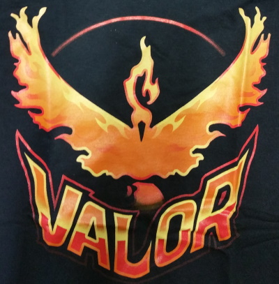 (image for) Valor T-Shirt