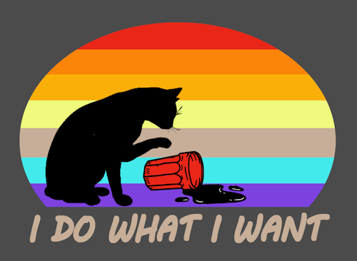 (image for) I Do What I Want T-Shirt