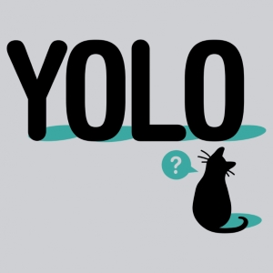 (image for) YOLO Cat T-shirt