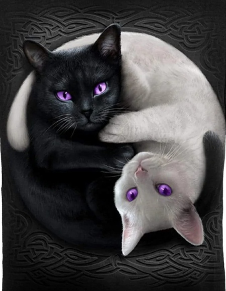(image for) Yin Yang Cats SD T-Shirt - Click Image to Close