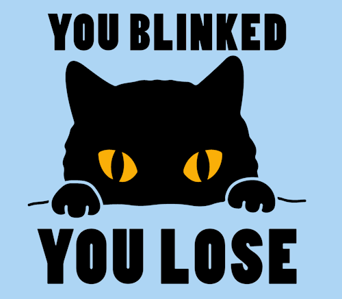 (image for) You Blinked Cat T-Shirt