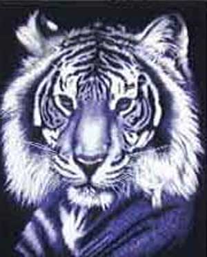 (image for) Brazos White Tiger Shirt - Click Image to Close