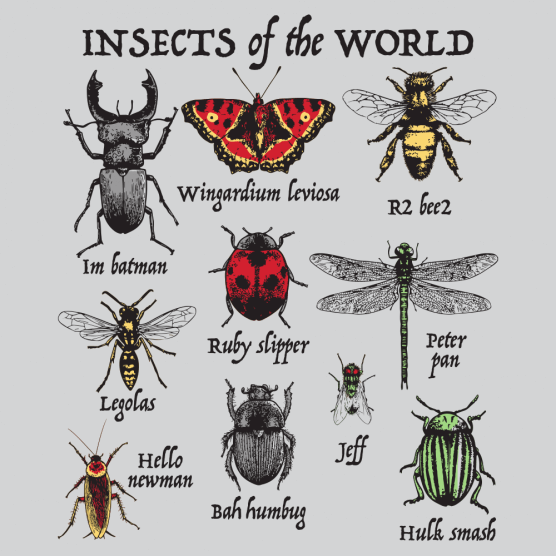 (image for) Insects of the World T-Shirt - Click Image to Close